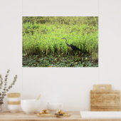 Poster Heron 6449 (Cuisine)