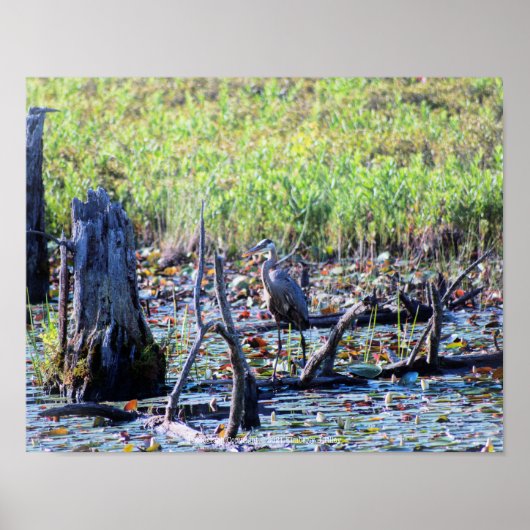 Poster Heron 6467 (Devant)