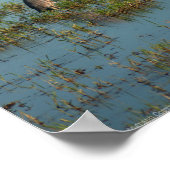 Poster Heron 6937 (Coin)