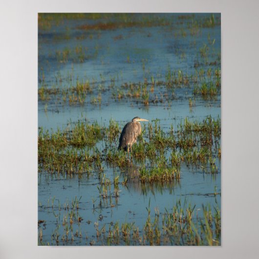 Poster Heron 6937 (Devant)