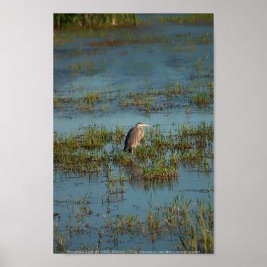 Poster Heron 6937 (Devant)