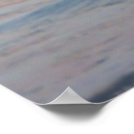 Poster Heron Beachcombing (Coin)