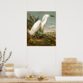 Poster Héron blanc par John James Audubon (Cuisine)