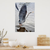 Poster Héron bleu (Cuisine)