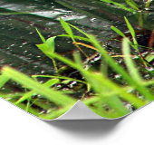 Poster Héron bleu dans les roseaux (Coin)