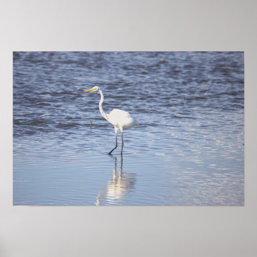 Poster Heron dans l'affiche de l'eau (Devant)