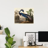 Poster Héron de Louisiane d'Birds of America (1827) (Bureau à domicile)