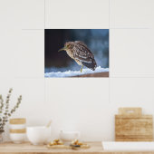 Poster Héron de nuit à couronne noire (Cuisine)