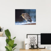 Poster Héron de nuit à couronne noire (Bureau à domicile)