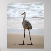 Poster Heron debout sur la plage couleur verticale 16x20 (Devant)