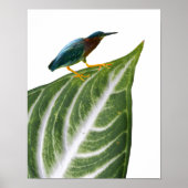 Poster Heron et feuille Imprimer, papier d'affiche de val (Devant)