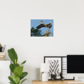 Poster Heron gris arrivant au sommet d'un arbre (Bureau à domicile)