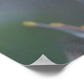 Poster Heron gris de l'observateur solitaire (Coin)