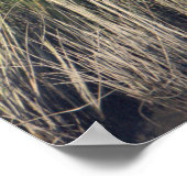 Poster Heron in the Grass (Coin)