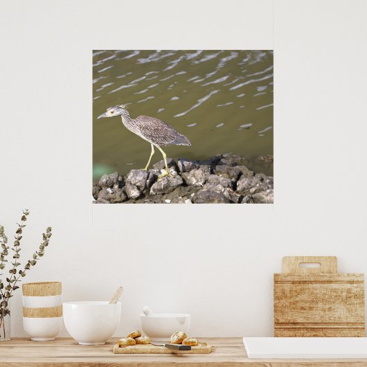 Poster Heron juvénile (Cuisine)