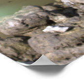 Poster Heron juvénile (Coin)