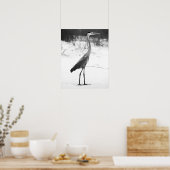 Poster Heron noir et blanc debout sur la plage de sable (Cuisine)