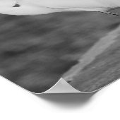 Poster Héron noir et blanc Tropical Printable Art (Coin)