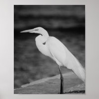 Héron noir et blanc Tropical Printable Art