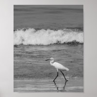 Héron noir et blanc Tropical Printable Art