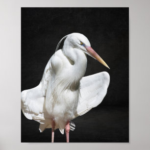 Poster Héron noir et blanc Tropical Printable Art