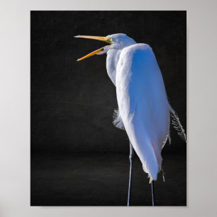 Poster Héron noir et blanc Tropical Printable Art