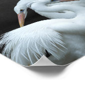 Poster Héron noir et blanc Tropical Printable Art (Coin)