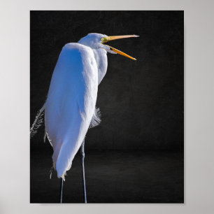 Poster Héron noir et blanc Tropical Printable Art