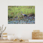 Poster Heron P6450 (Cuisine)