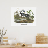Poster Heron tricolore, John Audubon (Cuisine)