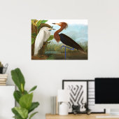 Poster Heron violet par John James Audubon (Bureau à domicile)