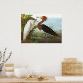 Poster Heron violet par John James Audubon (Cuisine)