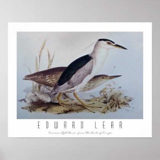 Poster Hérons de nuit (Devant)