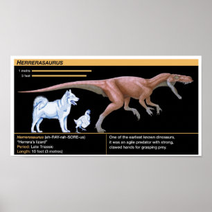 Poster Herrerasaurus - Biologie Dinosaure Jurassique