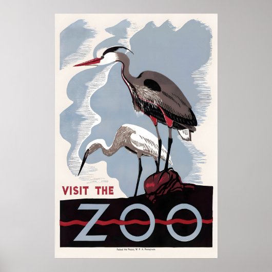 Poster Herron Butor d'Amérique Zoo Oiseau Publicité (Devant)