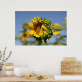 Poster Hésitant (Cuisine)