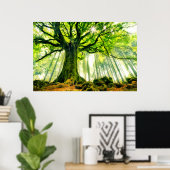 Poster Hêtre de Ponthus (Bureau à domicile)