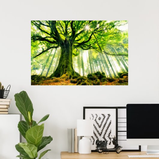 Poster Hêtre de Ponthus (Bureau à domicile)
