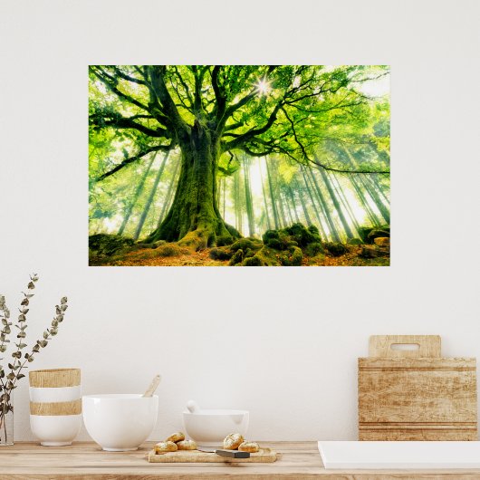 Poster Hêtre de Ponthus (Cuisine)