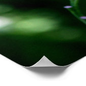 Poster Heure d'alimentation aux Lillies 4 (Coin)