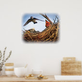 Poster Heure d'alimentation du nid de l'hirondelle d'arbr (Cuisine)