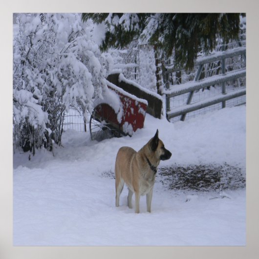 Poster Heure d'hiver.... (Devant)