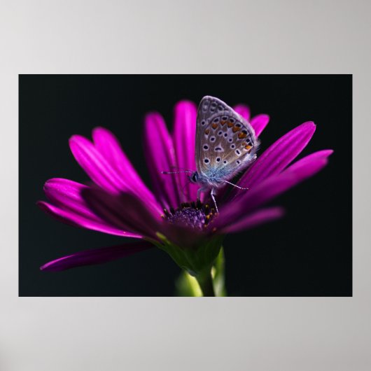 Poster Heure du déjeuner (Devant)