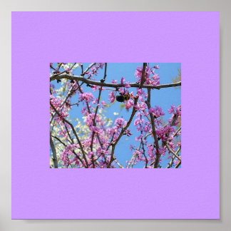 Poster Heure du printemps