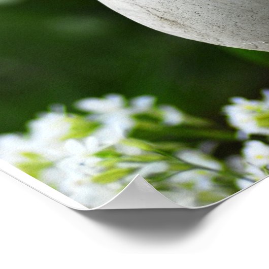 Poster Heure du printemps Zen (Coin)