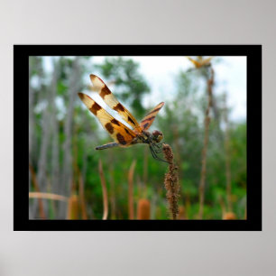 Poster Heure du repas