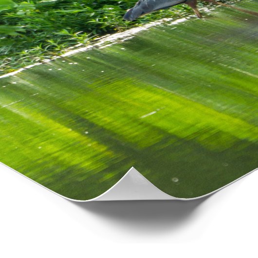 Poster Heure du repas de la langouste (Coin)