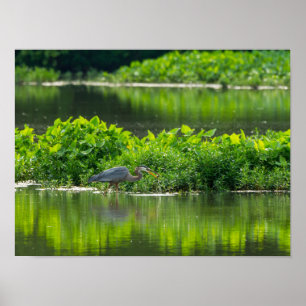 Poster Heure du repas de la langouste