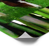 POSTER HEUREUX CHEVAUX (Coin)