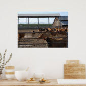 Poster Heureux Vaches de Californie (Cuisine)